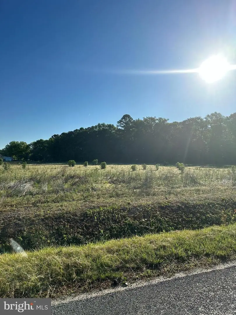 0 Lynch Rd, Selbyville, DE 19975 - Image #1