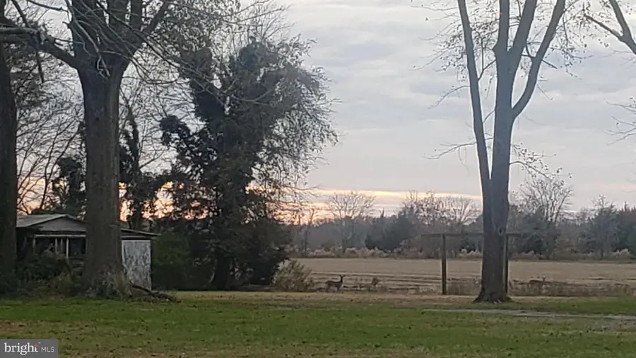 0 Lighthouse Rd, Selbyville, DE 19975 - Image #2
