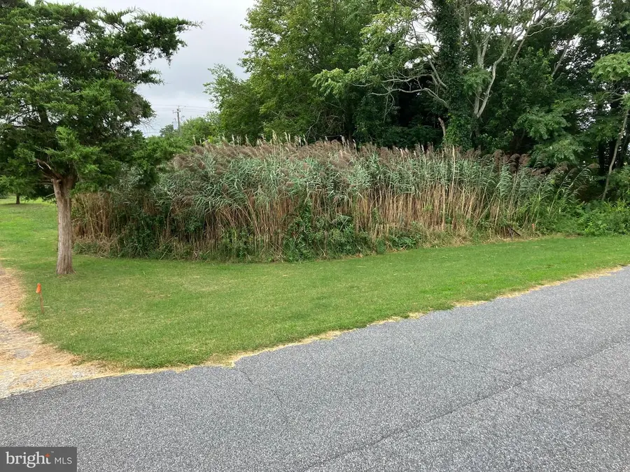 Lot 517 Beach Plum Drive, Milford, DE 19963 - Image #2