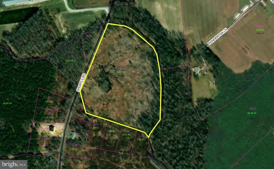 18.271 Ac., Tract 5 Shortly Rd., Georgetown, DE 19947 - Image #3