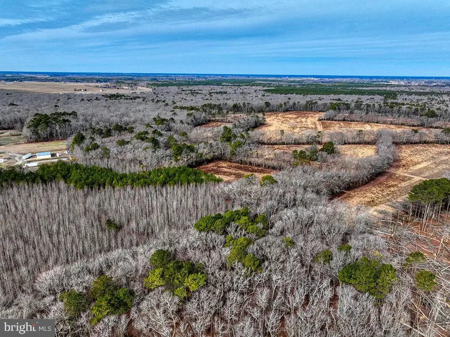 9 Foot Road, Dagsboro, DE 19939 - Image #3