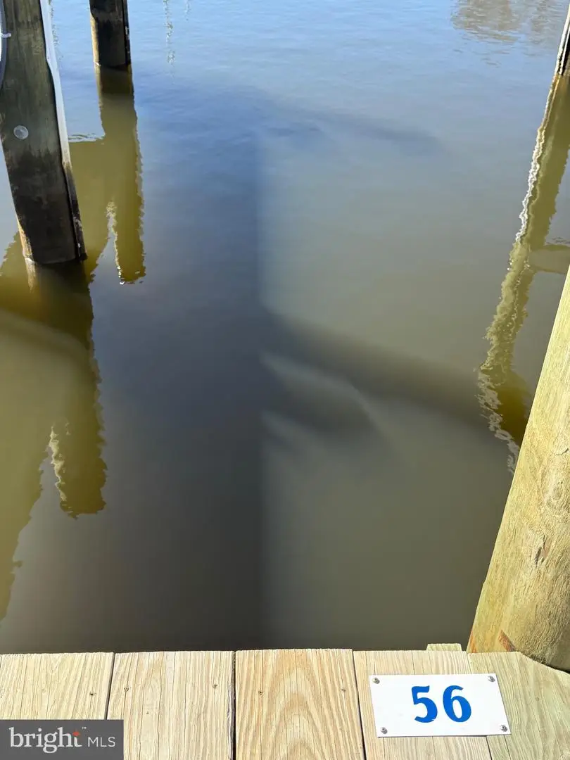 155 Naomi #56, Ocean View, DE 19970 - Image #3