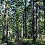 Rte 9 Lot 12 Secluded Lane, GEORGETOWN, DE 19947