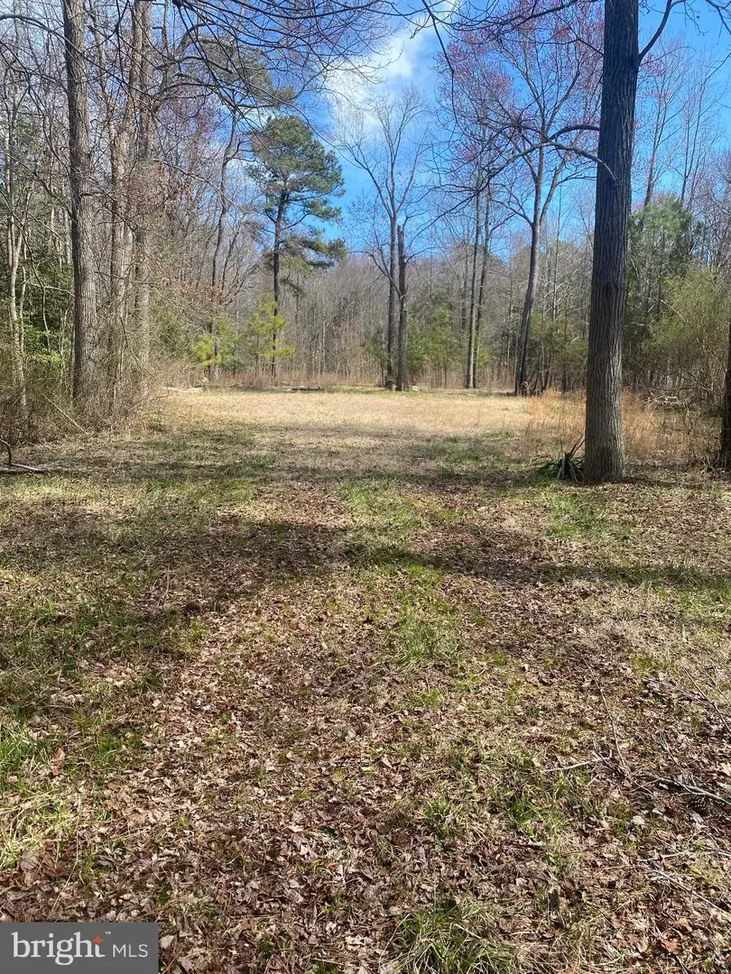 Parcel 7.01 Savannah Rd, Rd 246, Georgetown, DE 19947 - Image #1