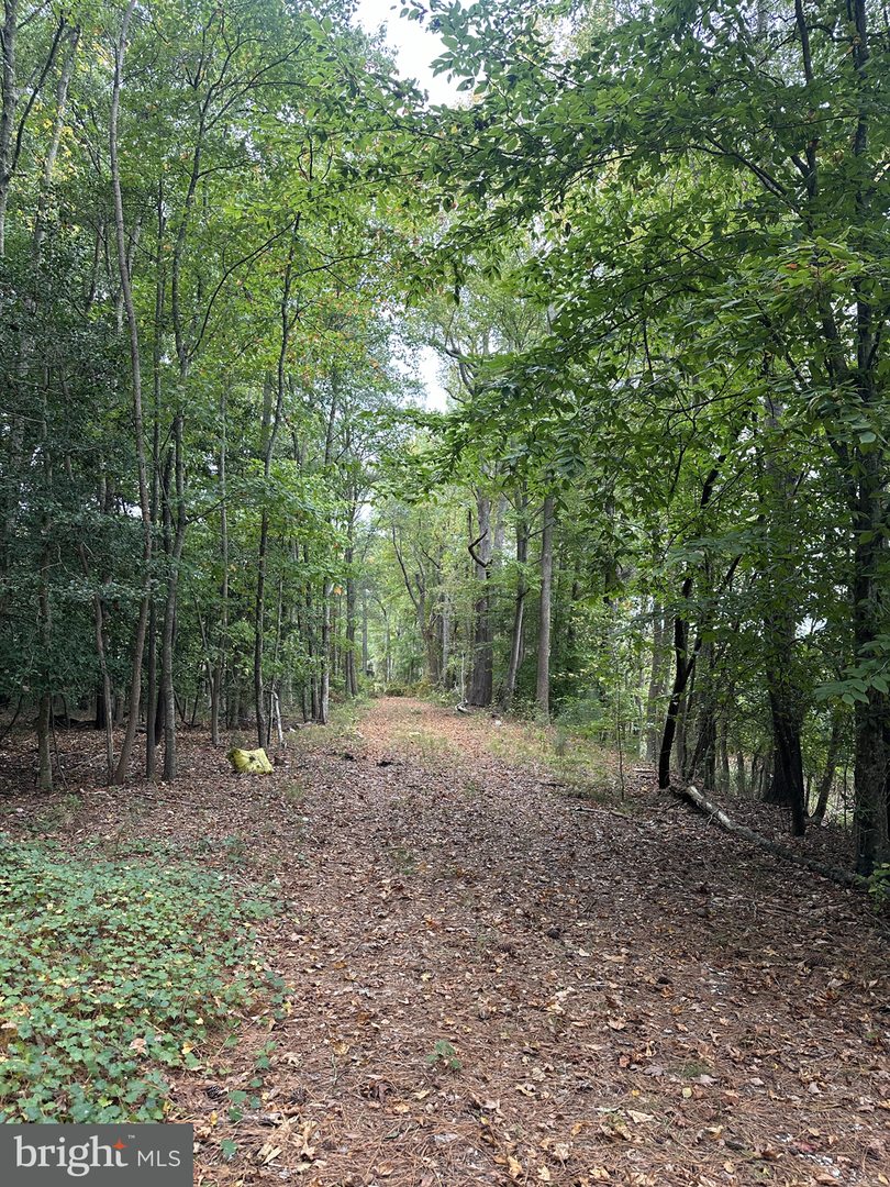 0 Burbage Rd, Frankford, DE 19945 - Image #2