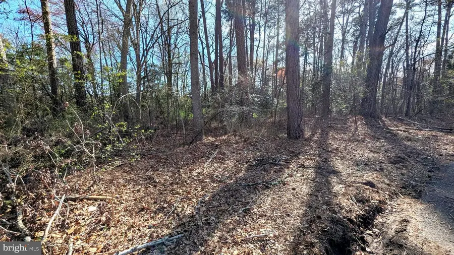 1 Woodland Dr, Seaford, DE 19973 - Image #3