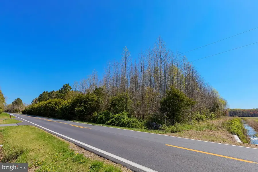 Se East Trap Pond Rd, Georgetown, DE 19947 - Image #2