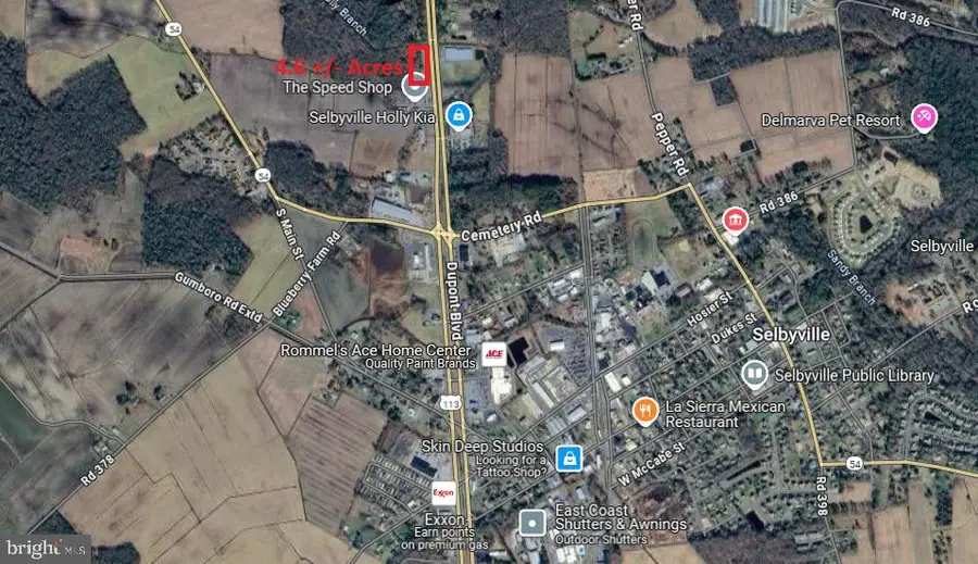 36992 Dupont Blvd, Selbyville, DE 19975 - Image #2