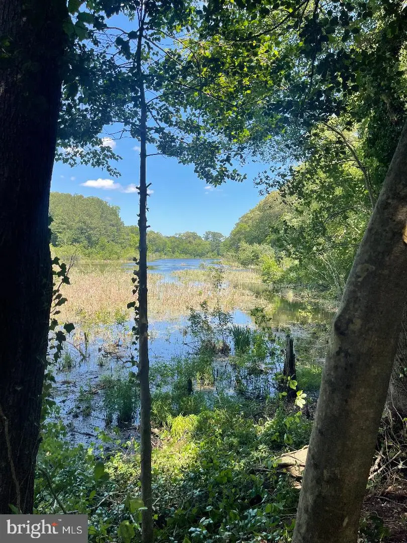 32013 Long Ln, Lewes, DE 19958 - Image #2