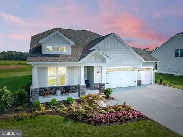 35212 Wild Goose Lndg, SELBYVILLE, DE 19975