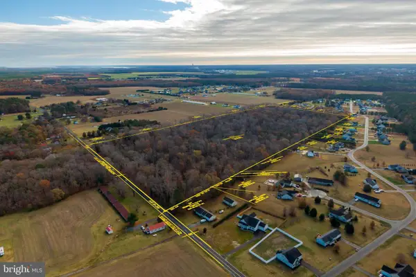 48 Acres Morris Mill Rd, MILLSBORO, DE 19966