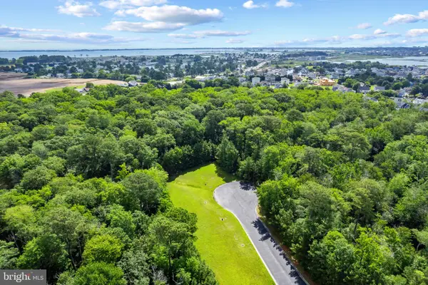 38121 Natures Walk Way, SELBYVILLE, DE 19975