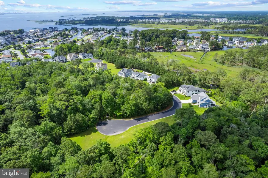 38121 Natures Walk Way, Selbyville, DE 19975 - Image #3