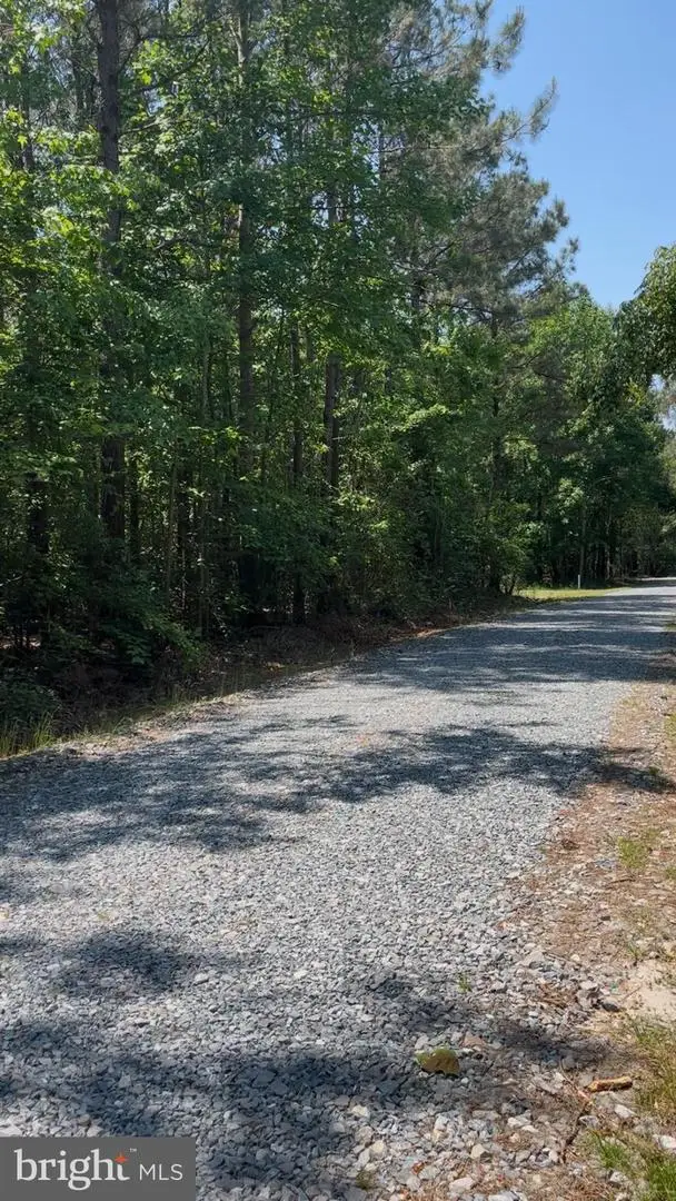 Dogwood Ln, Georgetown, DE 19947 - #3