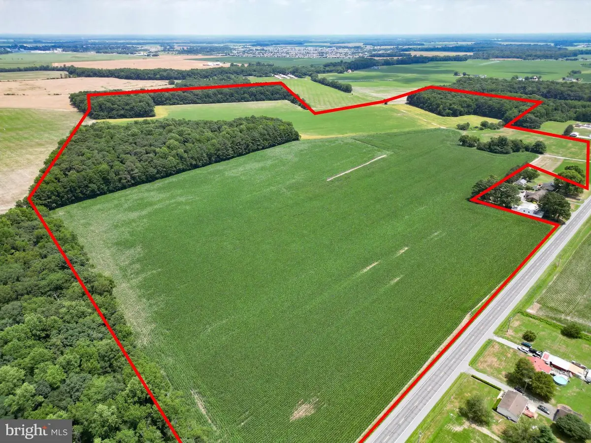 19973 White Elm Rd, Bridgeville, DE 19933 - Image #1