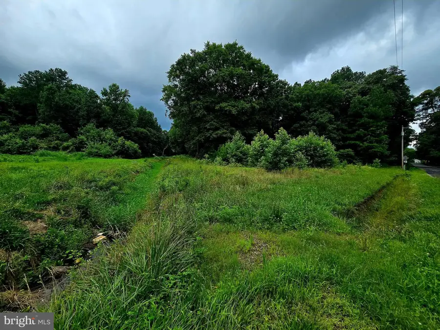 Lot 1 Whitney Swamp Rd, Bridgeville, DE 19933 - Image #3