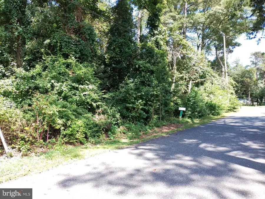 144 Allen Ave, Laurel, DE 19956 - Image #2