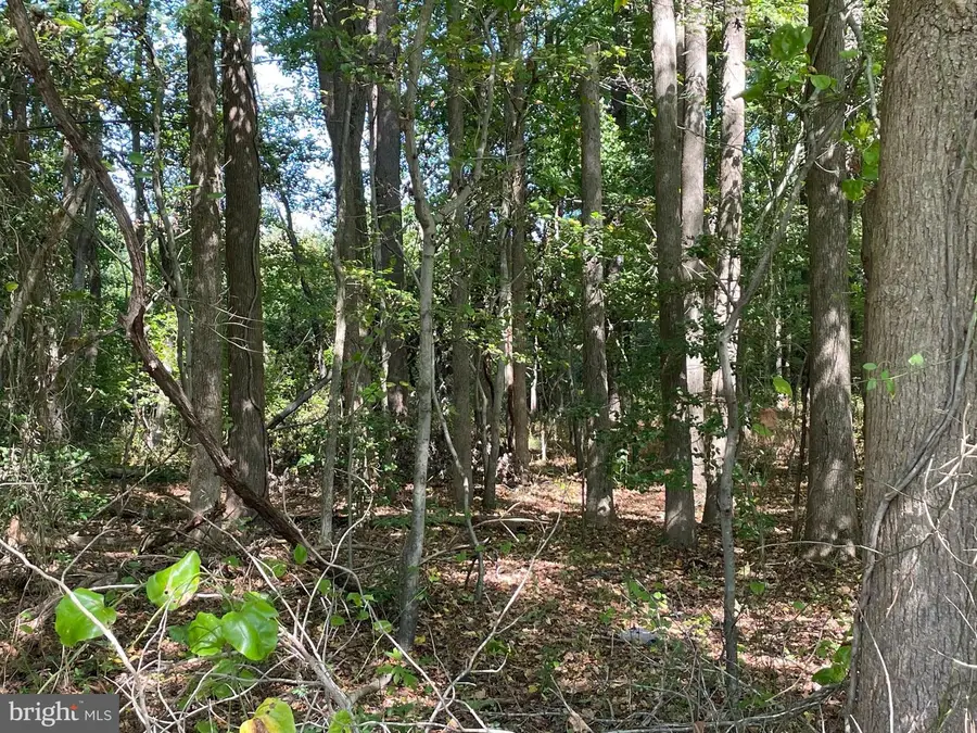 Hillbillie Ln, Delmar, DE 19940 - Image #3