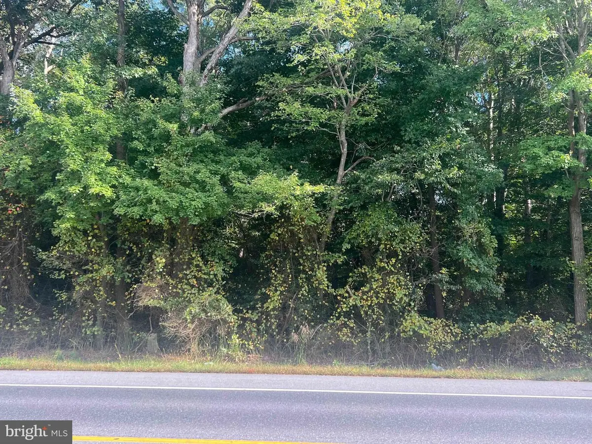 Rt 36-lot 2 Shawnee Rd, Greenwood, DE 19950 - Image #1