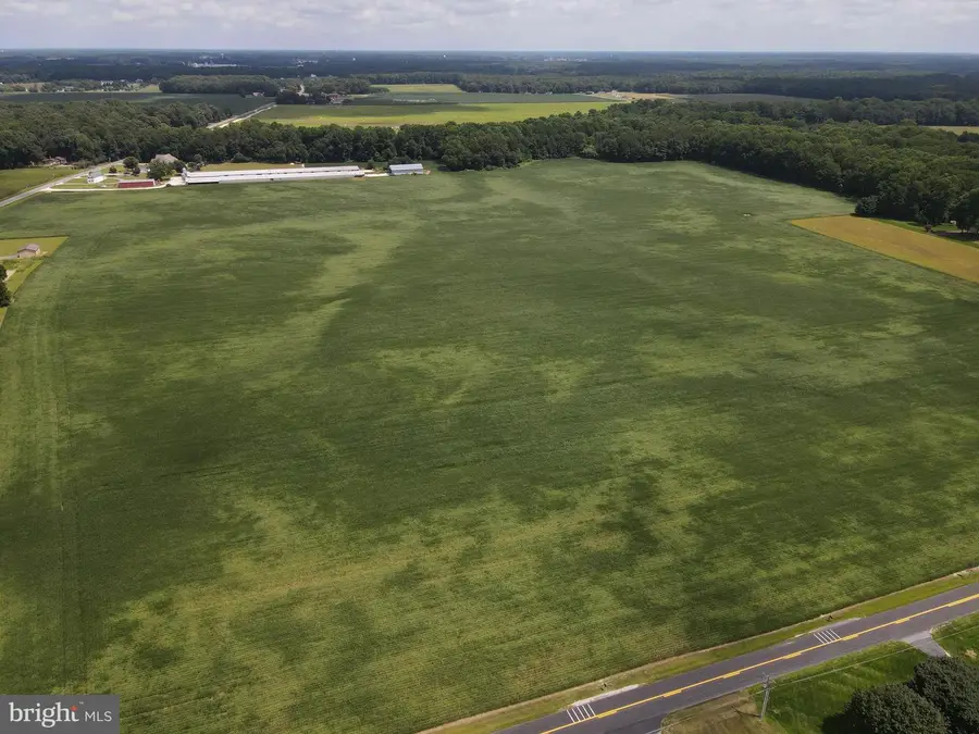 Lot 4 Woodland Ferry Rd, Seaford, DE 19973 - Image #3