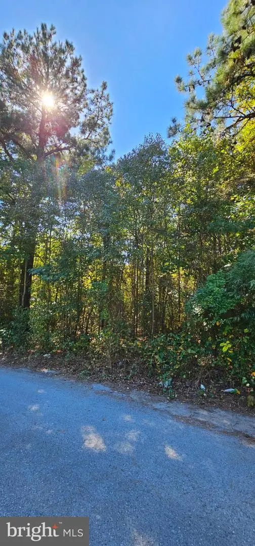 Lot 6 Thelma Ct, GREENWOOD, DE 19950