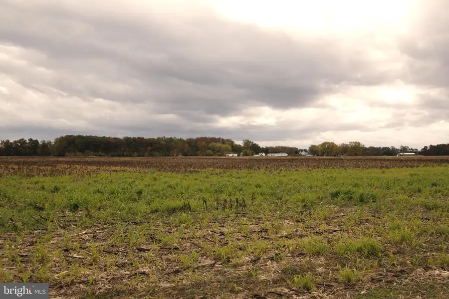 7685 N Union Church Rd, Milford, DE 19963 - Image #3