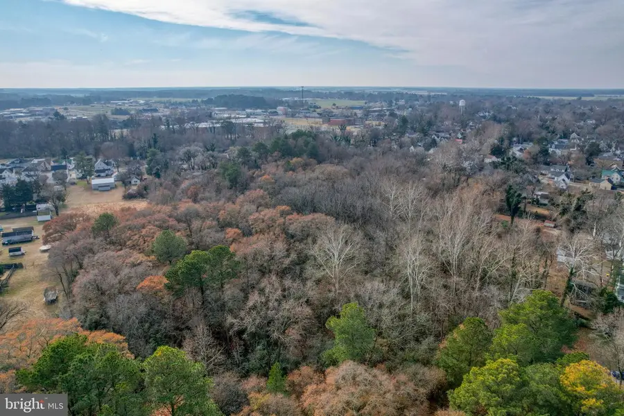 99999 Ionia Ave, Laurel, DE 19956 - Image #3