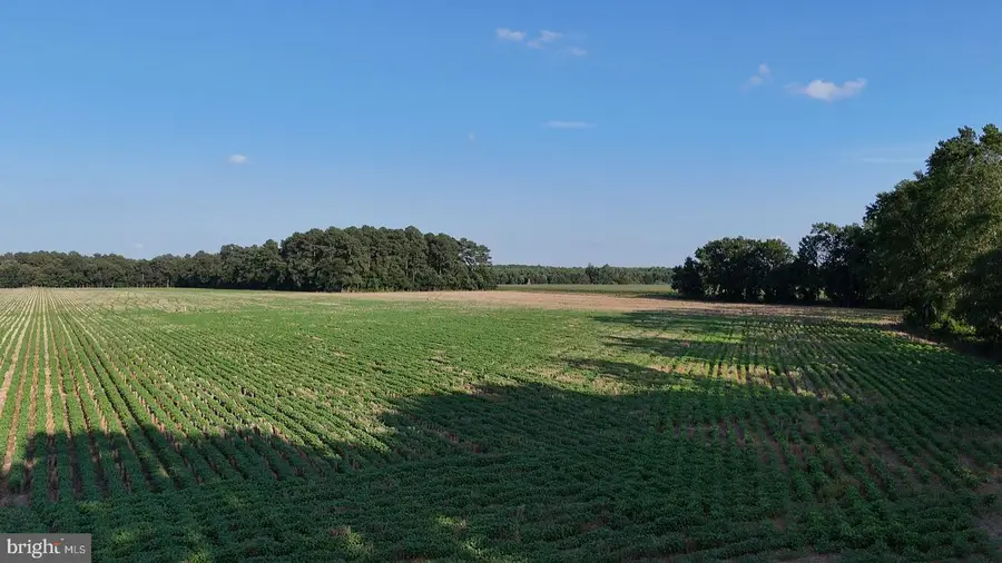 Parcel A Russell Rd, Bridgeville, DE 19933 - Image #2