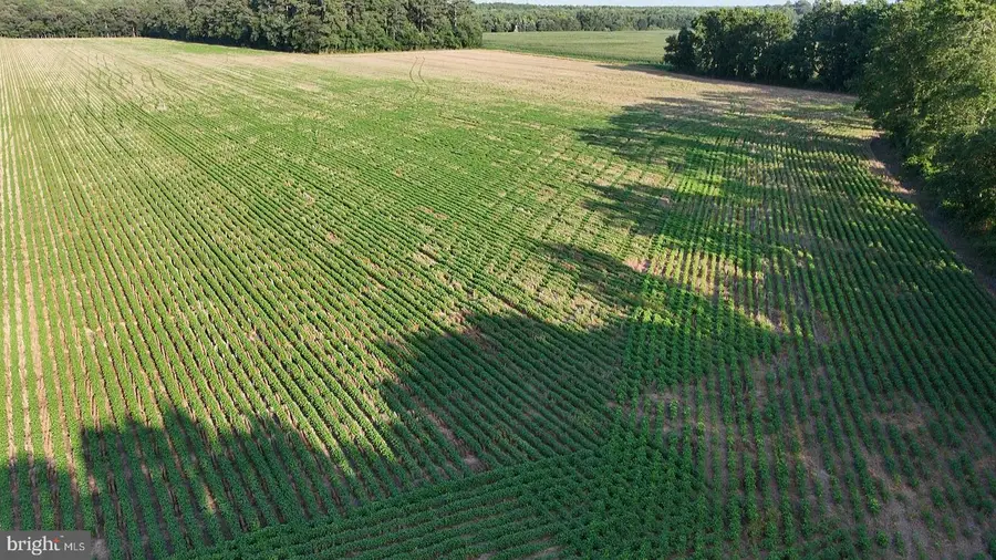 Parcel A Russell Rd, Bridgeville, DE 19933 - Image #3