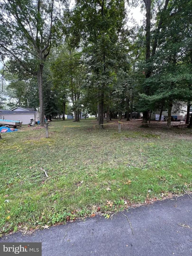 Tbd Steele, Millsboro, DE 19966 - Image #3