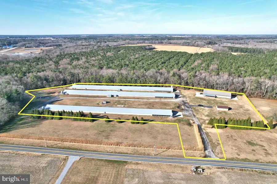 26830 N Hollyville Rd, Millsboro, DE 19966 - Image #2