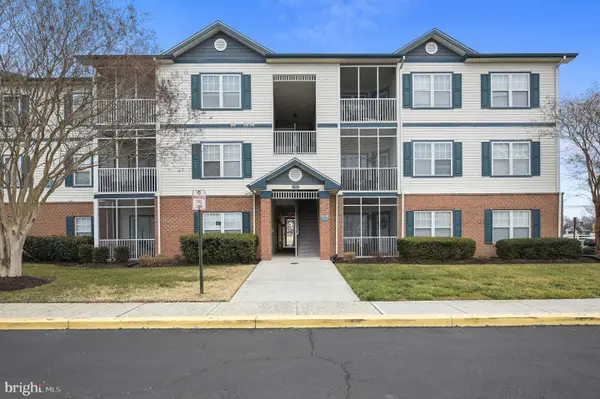 17063 S Brandt St #4306, LEWES, DE 19958