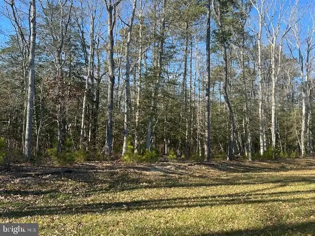 34048 Skyflower Loop, Lewes, DE 19958 - Image #2