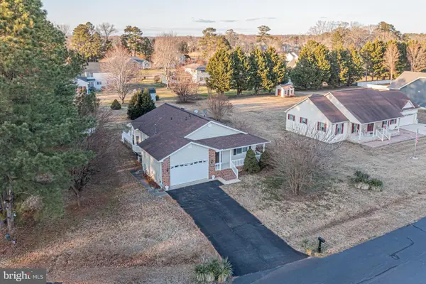 35772 Egret Rd, SELBYVILLE, DE 19975