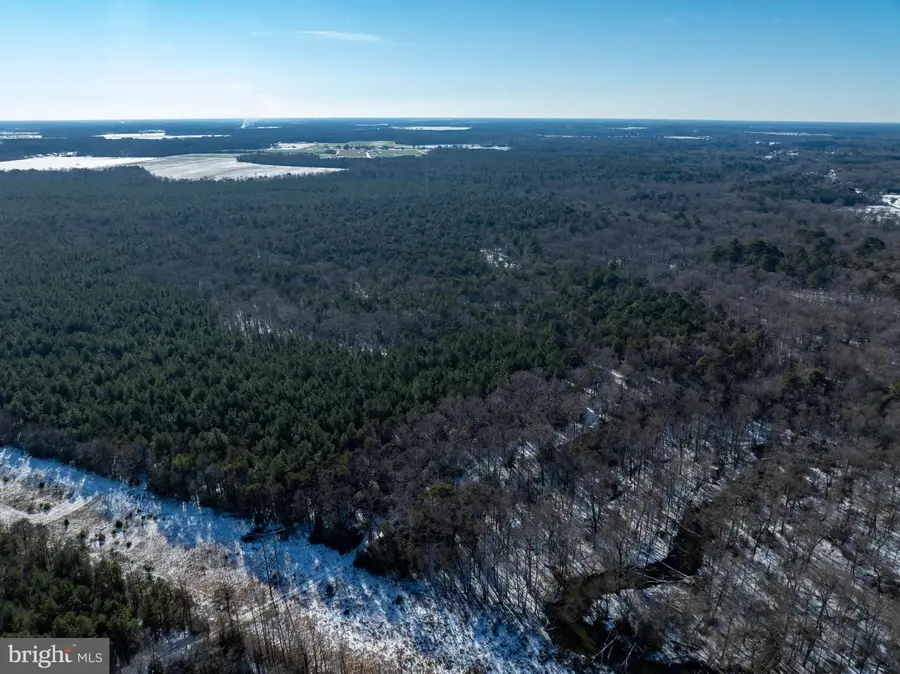 0 Rt 524, Seaford, DE 19973 - Image #3