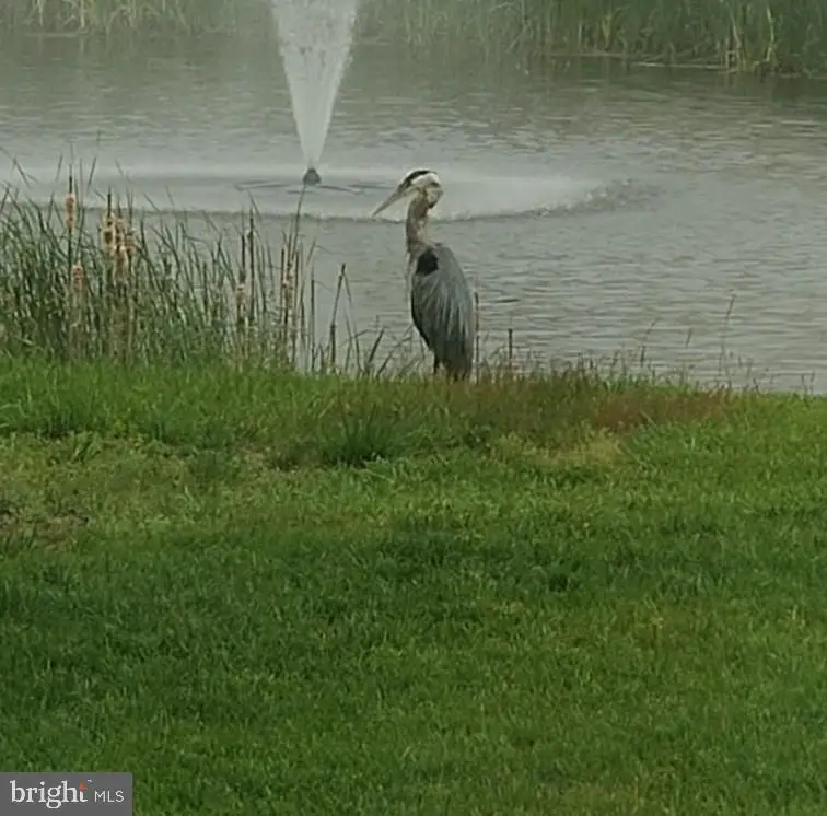 38667 Bright Ocean Way, Selbyville, DE 19975 - Image #2