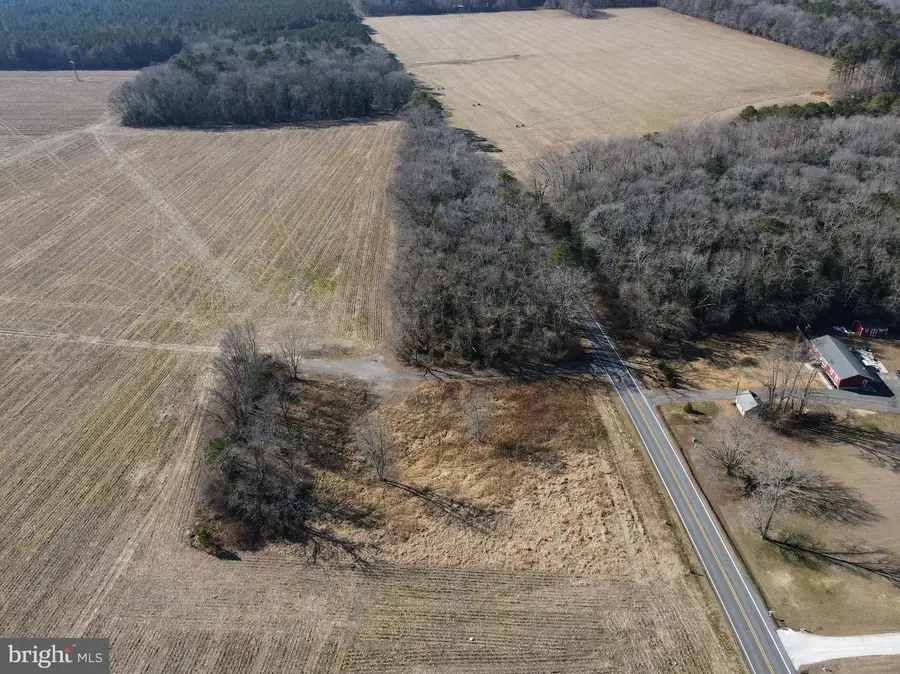 18648 Shiloh Church Rd, Georgetown, DE 19947 - Image #3