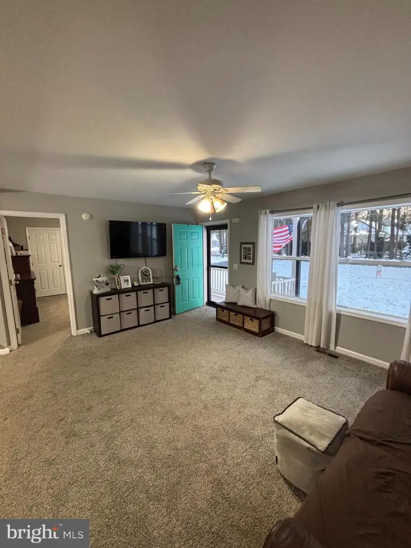 30009 W Mill Run, Milton, DE 19968 - Image #3