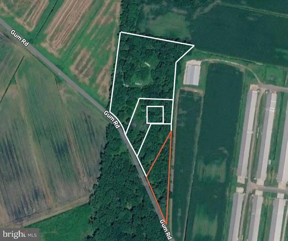 Gum Rd, Selbyville Frankford, DE 19975 - #1