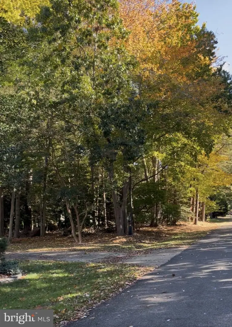 24 Manor Dr, Dagsboro, DE 19939 - Image #1