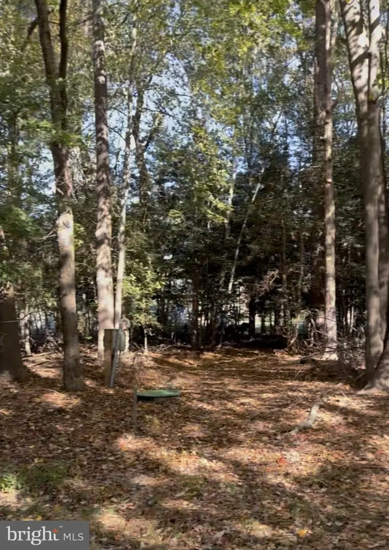 24 Manor Dr, Dagsboro, DE 19939 - Image #2