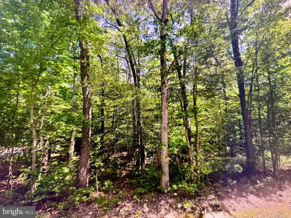 Lot 19 Mission Place, MILLSBORO, DE 19966