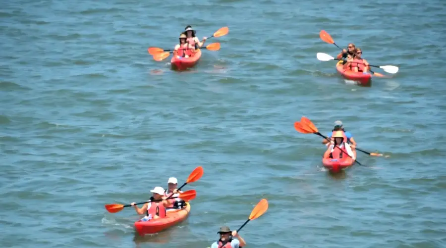 24349 Canal Dr, Millsboro, DE 19966 - #3