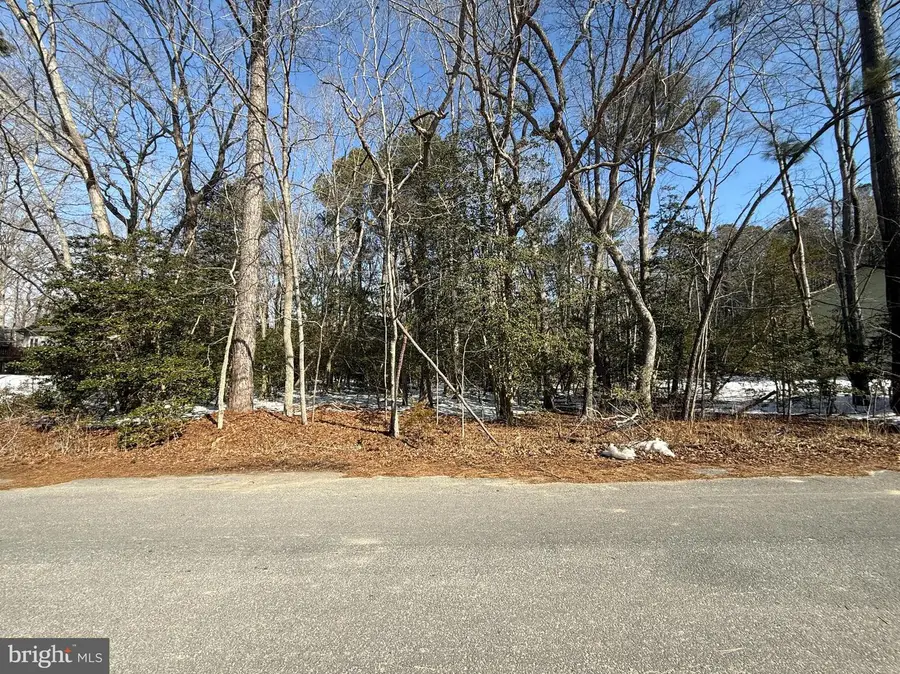 206 E Venus Ln, Milton, DE 19968 - #3