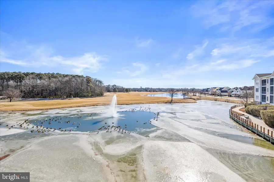 31738 Lakeview Dr #203, Selbyville, DE 19975 - #2