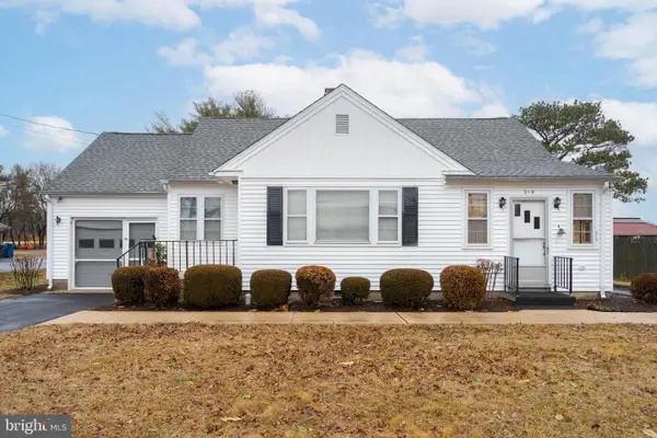 219 Gumboro Rd, SELBYVILLE, DE 19975