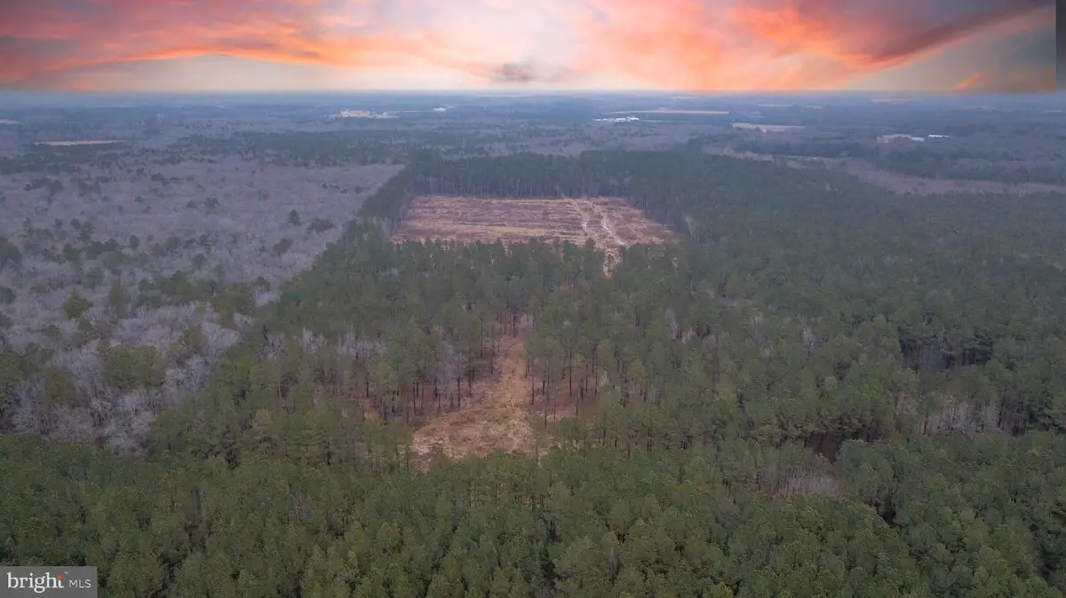 0 Little Hill Rd., Laurel Delmar, DE 19945 - #1