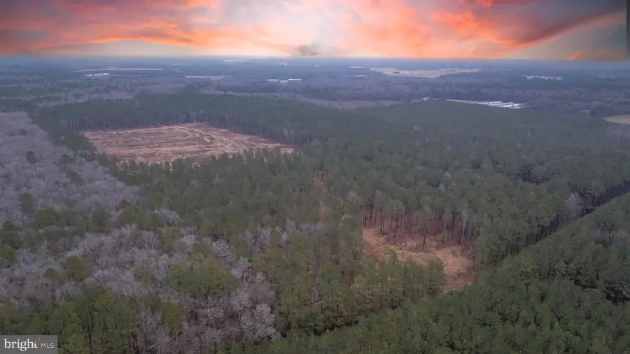 0 Little Hill Rd., Laurel Delmar, DE 19945 - #2