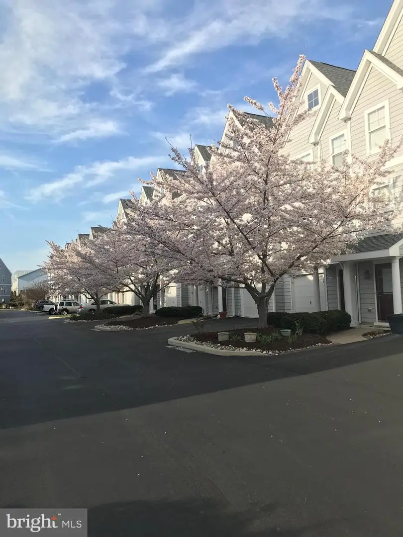 57 Canal Landing Ct, Rehoboth Beach, DE 19971 - #2