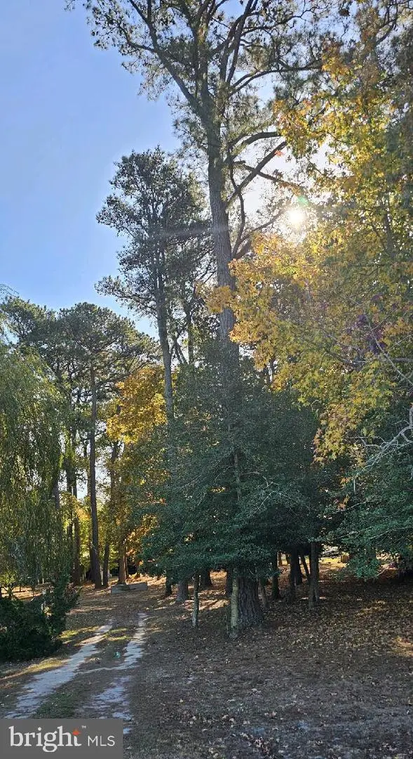 5 And 7 Woodland Ave, Ocean View, DE 19970 - #2